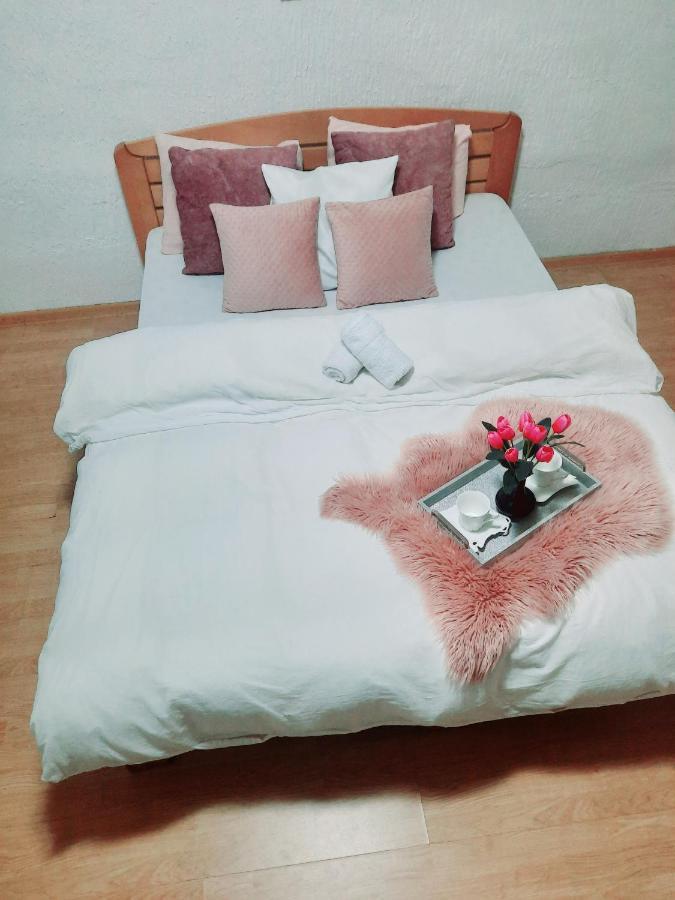 Ferienwohnung Kuca Na Dan Šid Exterior foto